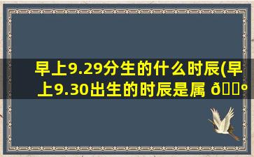 早上9.29分生的什么时辰(早上9.30出生的时辰是属 🐺 什么)